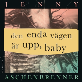 Den enda vägen är upp, baby (ljudbok) av Jenny
