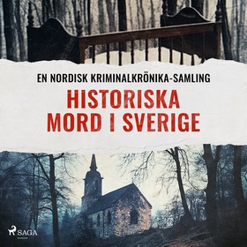 Historiska mord i Sverige (ljudbok) av Diverse 