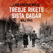 Tredje rikets sista dagar