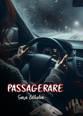 Passagerare (e-bok) av Sara Edholm