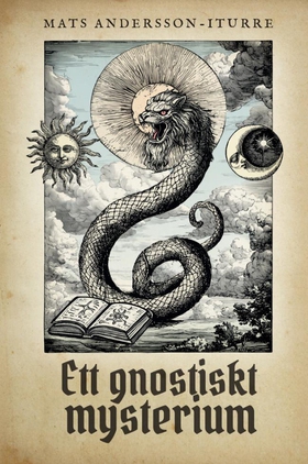 Ett gnostiskt mysterium (e-bok) av Mats Anderss