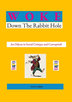WOKE: Down the Rabbit Hole (e-bok) av Nova Embe