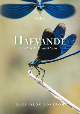 Hafvande - dom djupa direktiven (e-bok) av Hans