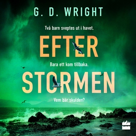Efter stormen (ljudbok) av G. D. Wright
