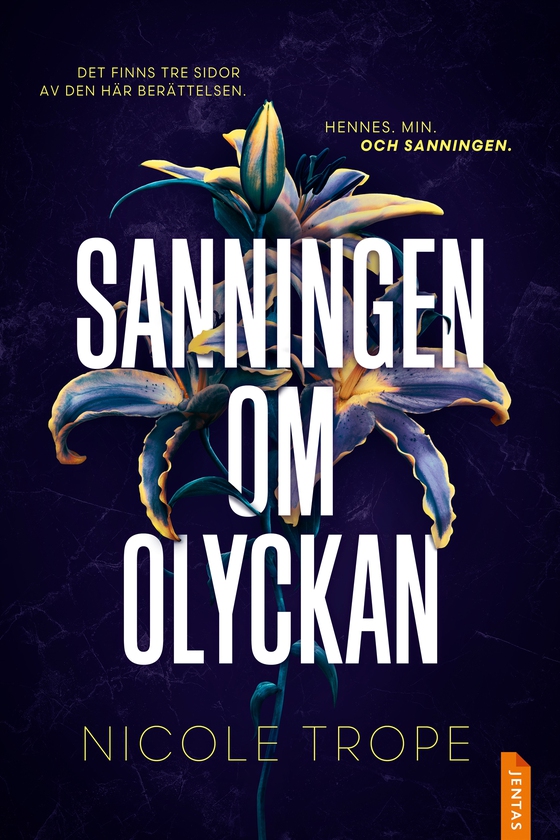 Sanningen om olyckan