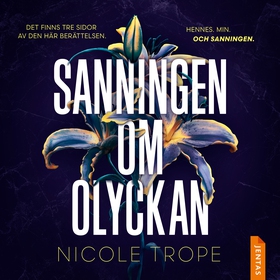 Sanningen om olyckan (ljudbok) av Nicole Trope