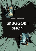 Skuggor i Snön: En hemlös mans väg från mörkret till ljuset