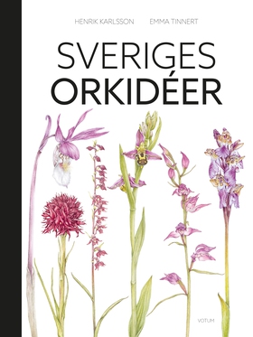 Sveriges orkidéer (e-bok) av Henrik Karlsson