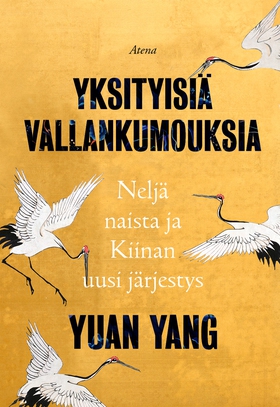 Yksityisiä vallankumouksia (e-bok) av Yuan Yang
