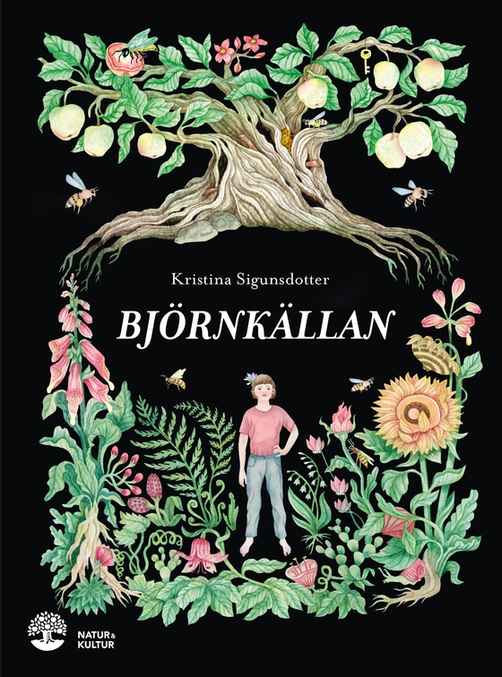Björnkällan