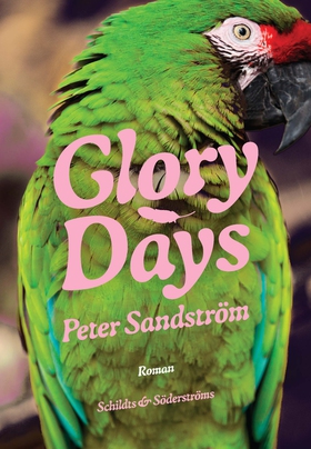 Glory Days (e-bok) av Peter Sandström