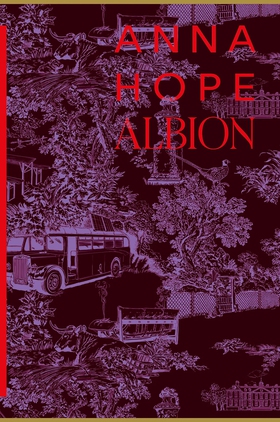 Albion (e-bok) av Anna Hope