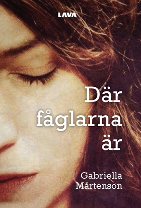 Där fåglarna är (e-bok) av Gabriella Mårtenson