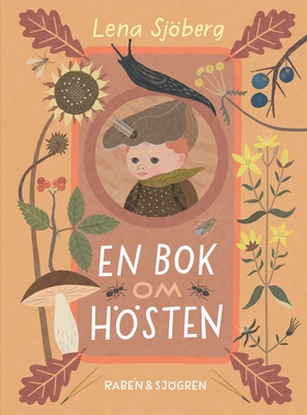En bok om hösten (e-bok) av Lena Sjöberg