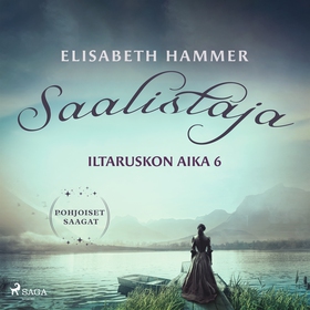 Saalistaja – Iltaruskon aika 6 (ljudbok) av Eli