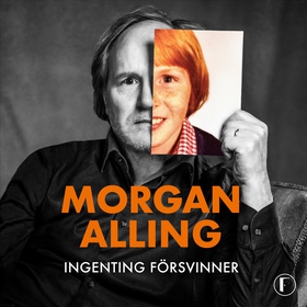 Ingenting försvinner (ljudbok) av Morgan Alling
