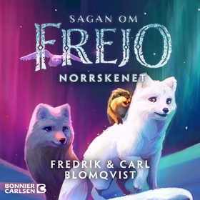 Norrskenet (ljudbok) av Fredrik Blomqvist, Carl