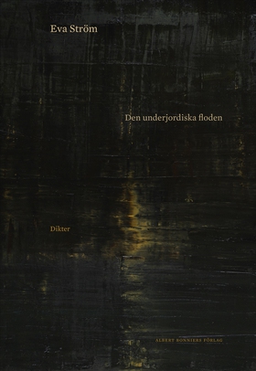 Den underjordiska floden (e-bok) av Eva Ström