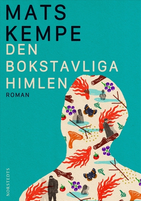 Den bokstavliga himlen (e-bok) av Mats Kempe