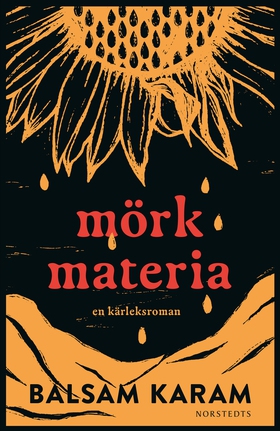 Mörk materia : En kärleksroman (e-bok) av Balsa