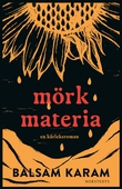 Mörk materia : En kärleksroman