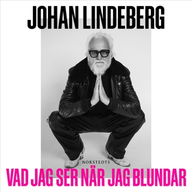 Vad jag ser när jag blundar (ljudbok) av Johan