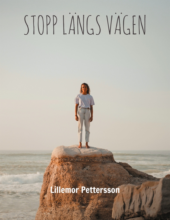 Stopp Längs Vägen: Sverige