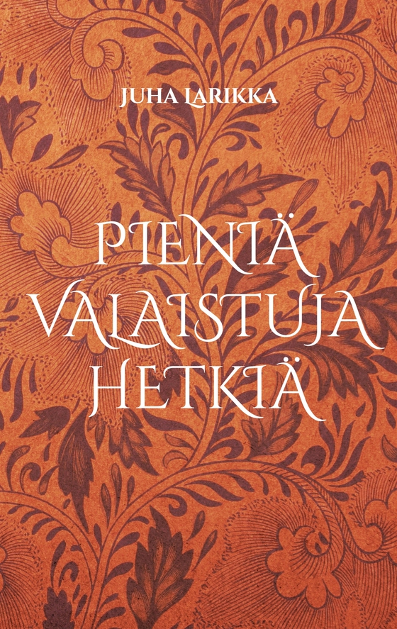 Pieniä valaistuja hetkiä: runoja