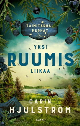 Yksi ruumis liikaa (e-bok) av Carin Hjulström