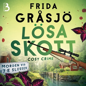 Lösa skott (ljudbok) av Frida Gråsjö