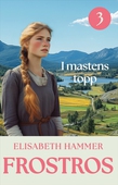 I mastens topp