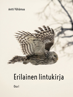 Erilainen lintukirja: Osa 1 (e-bok) av Antti Vä