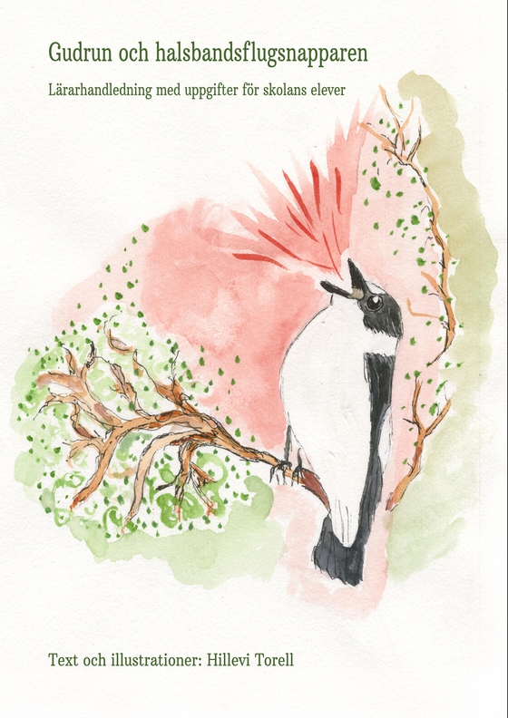 Gudrun och halsbandsflugsnapparen : Lärarhandledning med uppgifter för skolans elever