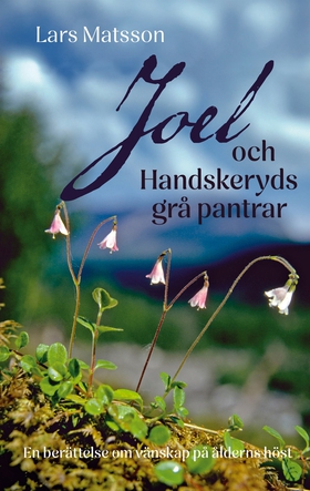 Joel och Handskeryds grå pantrar: En berättelse