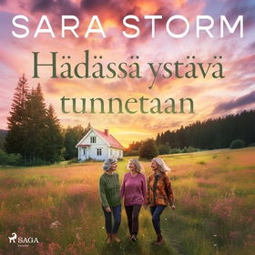 Hädässä ystävä tunnetaan (ljudbok) av Sara Stor