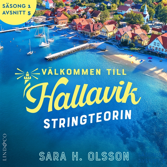 Stringteorin (S1E5 Välkommen till Hallavik)