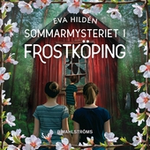 Sommarmysteriet i Frostköping