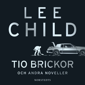 Tio brickor och andra noveller (ljudbok) av Lee