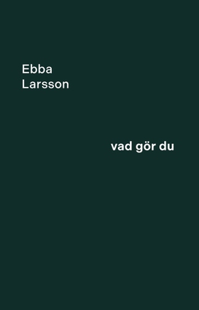 Vad gör du (e-bok) av Ebba Larsson