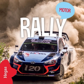 Rally (ljudbok) av Emelie Olofsson