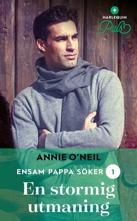 En stormig utmaning (e-bok) av Annie O'Neil