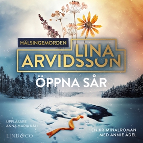 Öppna sår (ljudbok) av Lina Arvidsson