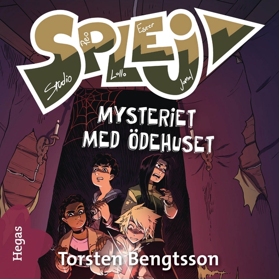 Mysteriet med ödehuset