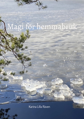 Magi för hemmabruk (e-bok) av Karina Lilla Räve