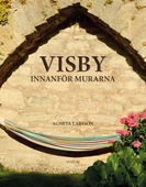 Visby innanför murarna
