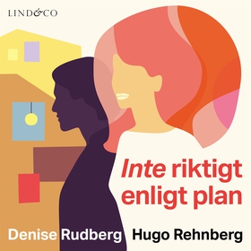 Inte riktigt enligt plan (ljudbok) av Denise Ru