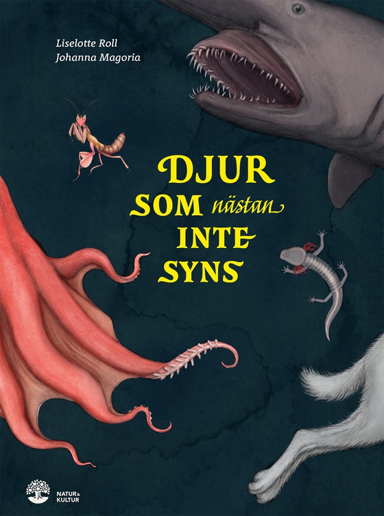 Djur som nästan inte syns