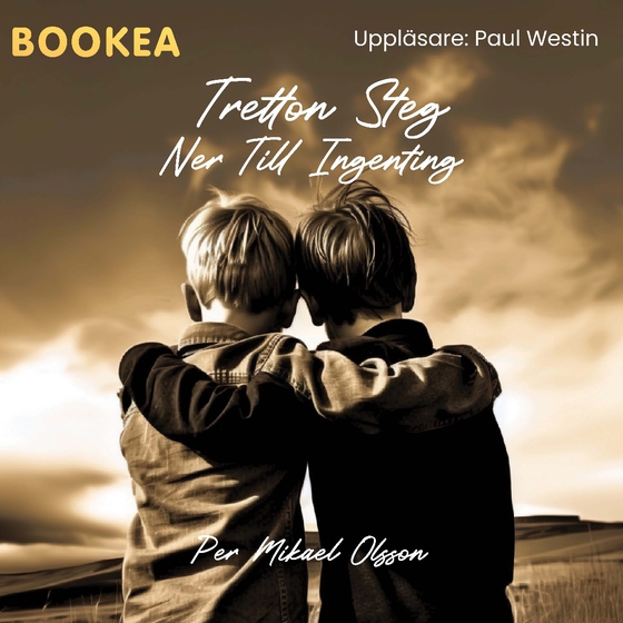 Tretton steg ner till ingenting (ljudbok) av Per Mikael Olsson