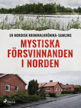 Mystiska försvinnanden i Norden (e-bok) av Dive