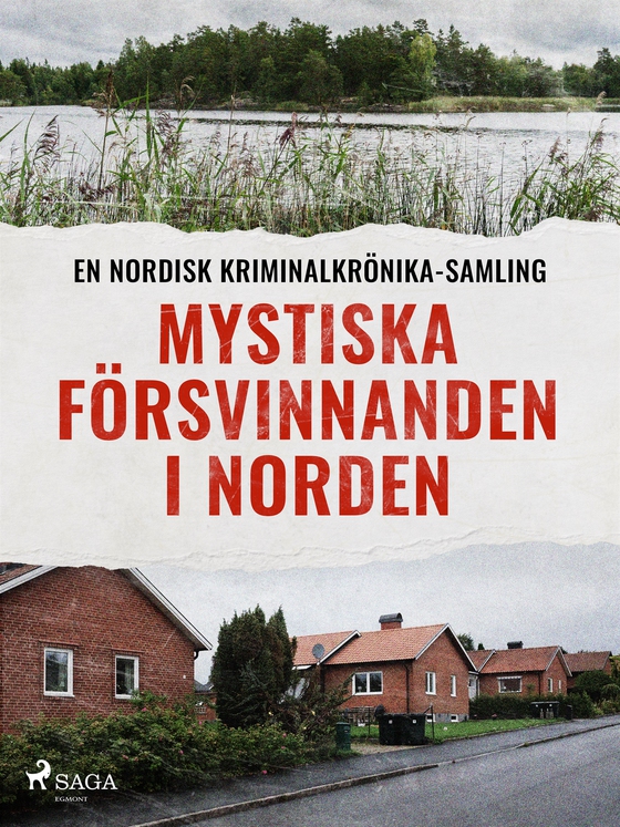 Mystiska försvinnanden i Norden (e-bok) av Diverse